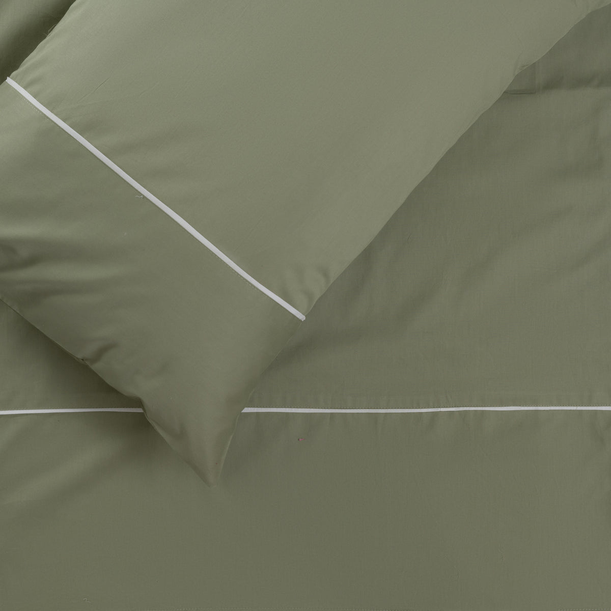 lines*pistachio*